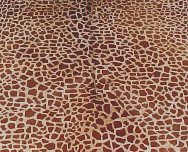 Giraffe Cowhide Chestnut-Beige
